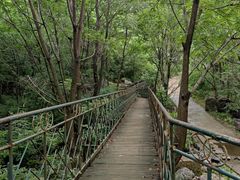 -云岫谷自然风景区