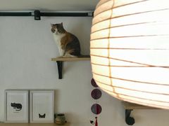 -隅cafe(傅厚岗店)