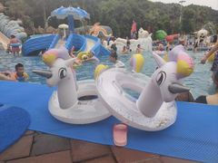 -重庆海昌加勒比海水世界