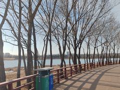 -绿堤公园