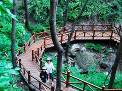 -大岭沟猕猴桃谷风景区