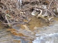 -小七孔景区-六十八级跌水瀑布