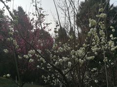 -富乐山
