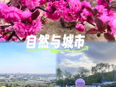 -白水寺森林公园