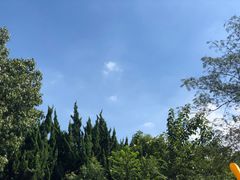 -白马涧龙池景区