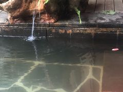 -昆明柏联SPA温泉