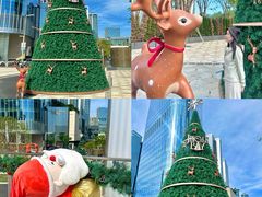 -深圳湾万象城(南山店)