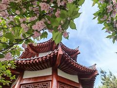 -洛阳市隋唐城遗址植物园