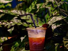 -Seesaw Coffee(深圳万象天地店)