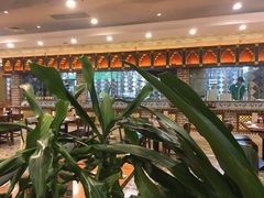 -巴依老爷新疆美食(望京小街店)