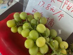 -马陆小张葡萄园农家乐