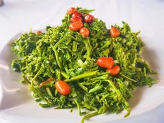 野菜凉菜-京北渔家傲