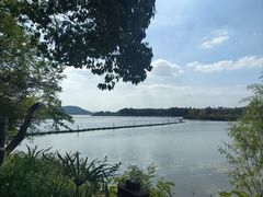 -东湖落雁景区