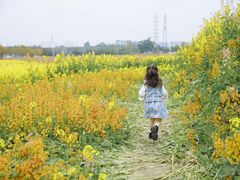-三圣花乡旅游区