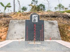 墓地-彩虹桥宠物火化殡葬善终服务(金乐大厦店)