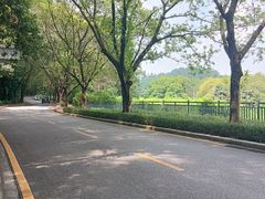 -南国桃园旅游度假区