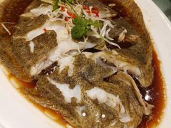 清蒸多宝鱼-双井轩(双井店)