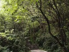 -野三坡百草畔景区