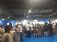-苏州海洋馆