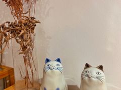 -猫里有甜