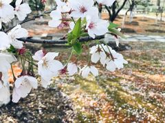 -江南大学(蠡湖校区)