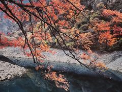 -叠溪松坪沟景区