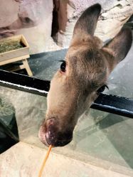 -酷嗒动物文化乐园(cutezoo西溪乐天城店)