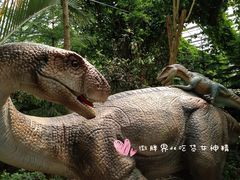 -呀路古热带植物园-恐龙馆