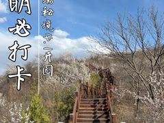 -大岭沟猕猴桃谷风景区