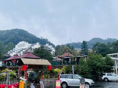 -南山植物园