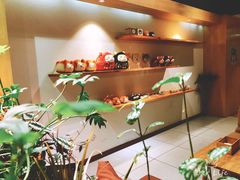 -柴务处·柴犬主题狗咖