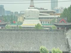 -西塔老太太泥炉烤肉(沈阳店)