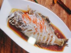 -老山东·山东菜(鲁菜名店)