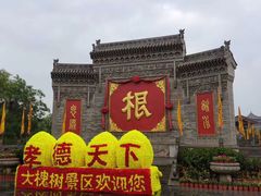-大槐树寻根祭祖园