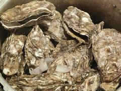 -蚝堡海鲜·威海菜·海肠捞饭·烧烤·亚洲吃蚝公司(幸福门店)