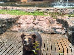 -海南热带野生动植物园