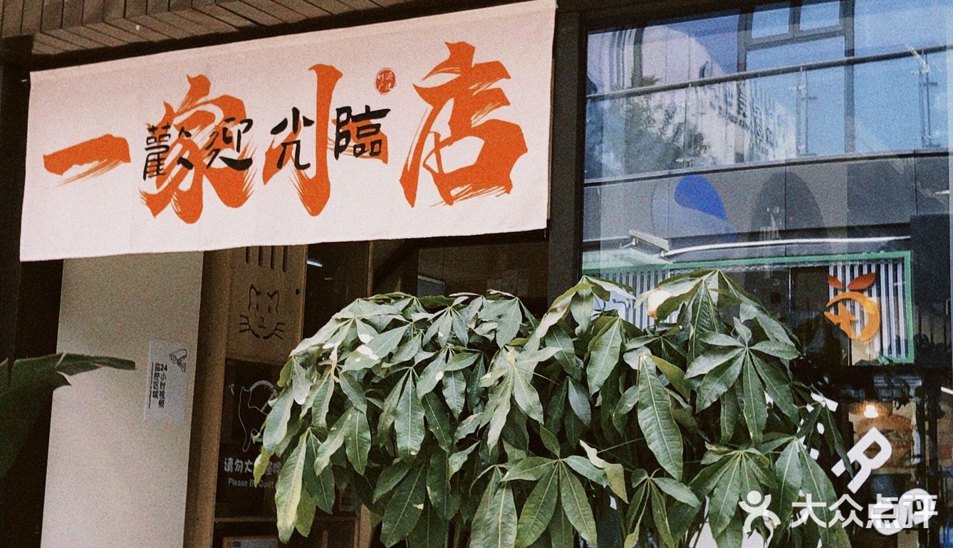 合肥探店｜夫妻小店 门口有店名里的橘猫嗷🐈