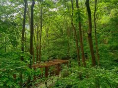 -大岭沟猕猴桃谷风景区