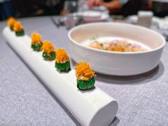 -柿合缘新京菜(国金中心商场店)