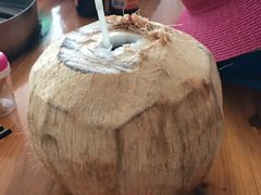 -15年老字号鑫鑫猪肚鸡·椰子鸡海南火锅(兴隆华侨农场店)