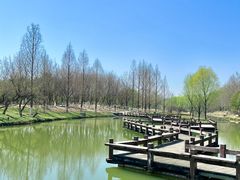 -西安浐灞国家湿地公园
