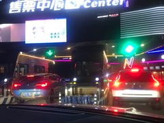 -枫花园汽车电影院(朝阳公园店)