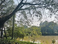 -李小龙乐园(顺德均安店)