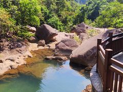 -广州白江湖森林公园