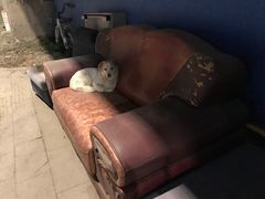 -霍元甲烧烤(江城商务大楼店)