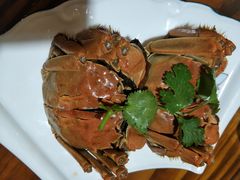 -呼吸森林·生态农庄农家乐私房菜