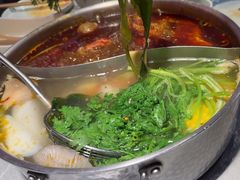 -宴全牛粤来越牛潮汕鲜牛肉火锅(海州万达广场店)