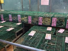 水产区-荔城生鲜盛宴(番禺旗舰店)