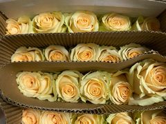 -循礼门鲜花花市(武汉循礼门店)