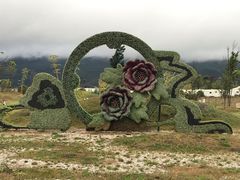 -丽江植物园